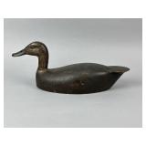 Canadian Black Duck Decoy