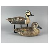 Harold Haertel Pr. of Baikal Teal