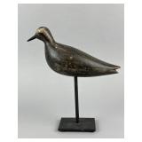 Rare John Ramsey Black-Bellied Plover Shorebird