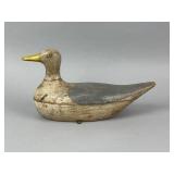 Rare Long Island Herring Gull Confidence Decoy