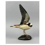 Bill Gibian Killdeer Shorebird