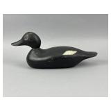 Mason White-Winged Scoter