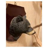 Decorative bear collection