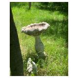 bird bath