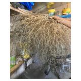 Tumble weed 