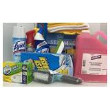 Bathroom Cleaning Items/Steamer