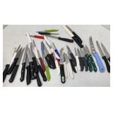 Pairing & Steak Knives