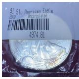 2002 American Silver Eagle Coin