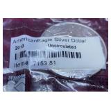 2013 American Silver Eagle Coin