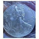 2019 American Silver Eagle Coin