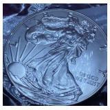 2019 American Silver Eagle Coin