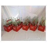 16 oz. Coca-Cola Bottles in Plastic Cartons