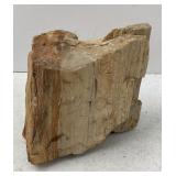 Large Piece of Petrified Wood