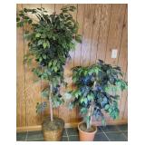 Artificial Ficus Trees (2)