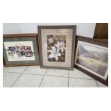 Prints - framed, Floral & landscape