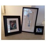 Framed Butterfly & Flower Prints
