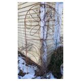 Wire Trellis