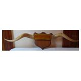 Watusi Longhorn Mount