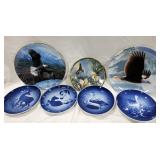 Collector Plates, Copenhagen