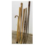 Walking Sticks