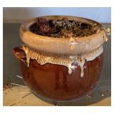 Hen & Chicks in 7in Bean Crock