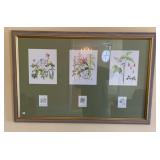 Framed Wild Flower Print by Margret C. Bach