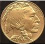 Gold, 1 Ounce $50 Coin, 2006