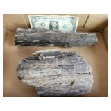 Petrified Wood, 2 pieces