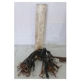 21" Tarp Straps and Holder