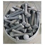 Galvanized Carriage Bolts