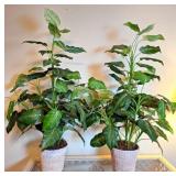 2 Artificial Dieffenbachia Plants In White Baskets