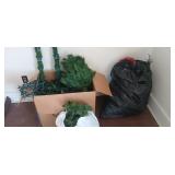 Christmas Trees and Decor