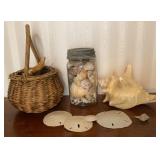 Seashell Decor
