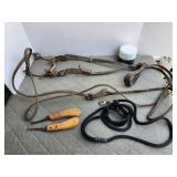 Horse Halter, lead rope, farrier tools