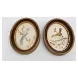 Water Color Bird Artwork 8x6