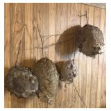 (4) Hornets Nests