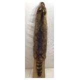 Raccoon Skin On a Stretcher board