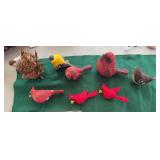 Cardinals and other Birds