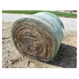 Mixed Grass Hay Bales  (16)