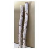 White Birch Branches