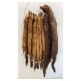 (8) Mink Hides (they are shedding)