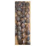 (5) Strands of Turtle Shells