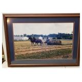 framed Photo of Vernon Cobletz Raking Hay