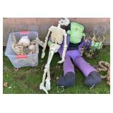 Anatomy Skeleton & Halloween Decor