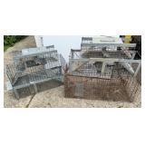 Animal Live Traps