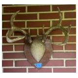 Antler mount