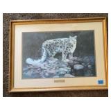 Framed mountain lion print