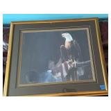 Framed Eagle print