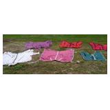 Horse Blankets