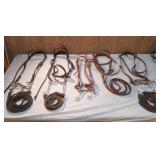 Bits & Bridles
